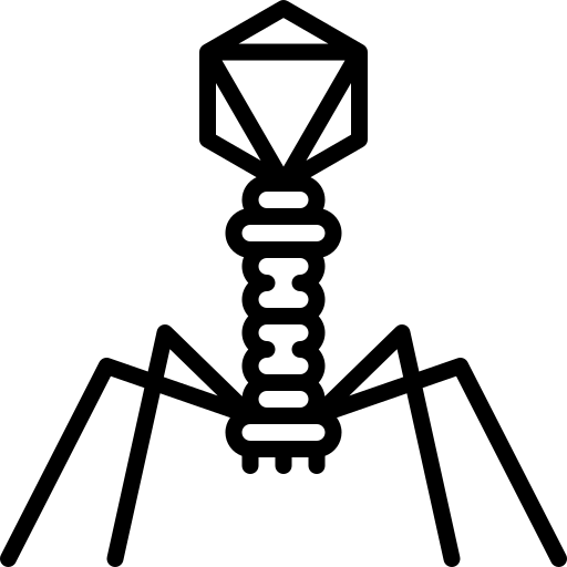 Bacteriophage