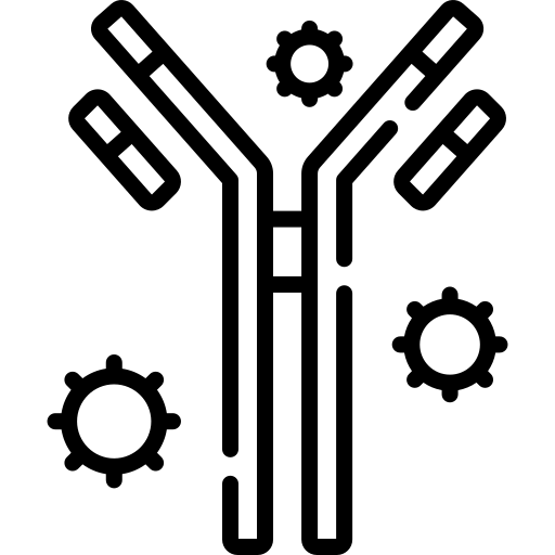 Immunoglobulins